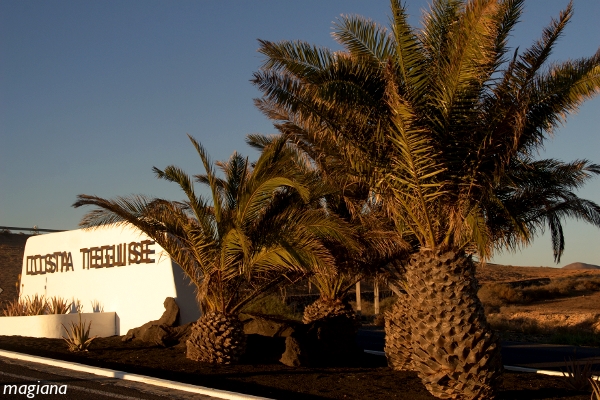 costa teguise